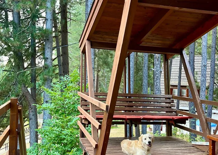 Natura La Tana Del Ghiro 木屋 *